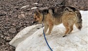 71 Bello pestare la neve a luglio !